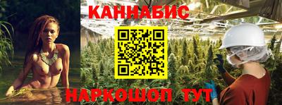 стаф Будённовск