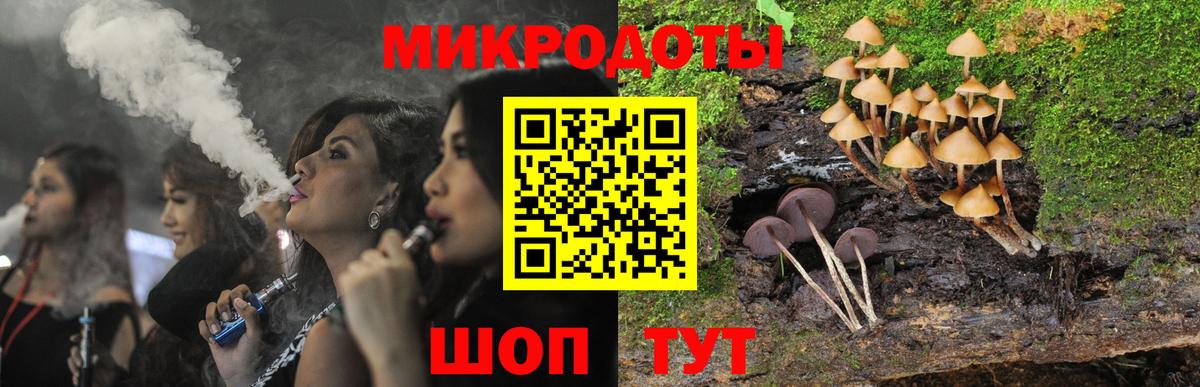Псилоцибиновые грибы Psilocybe Ялуторовск